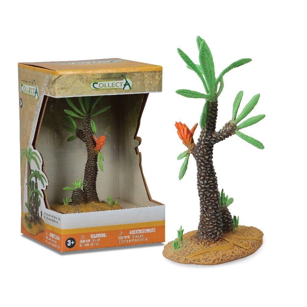 Collecta Williamsonia