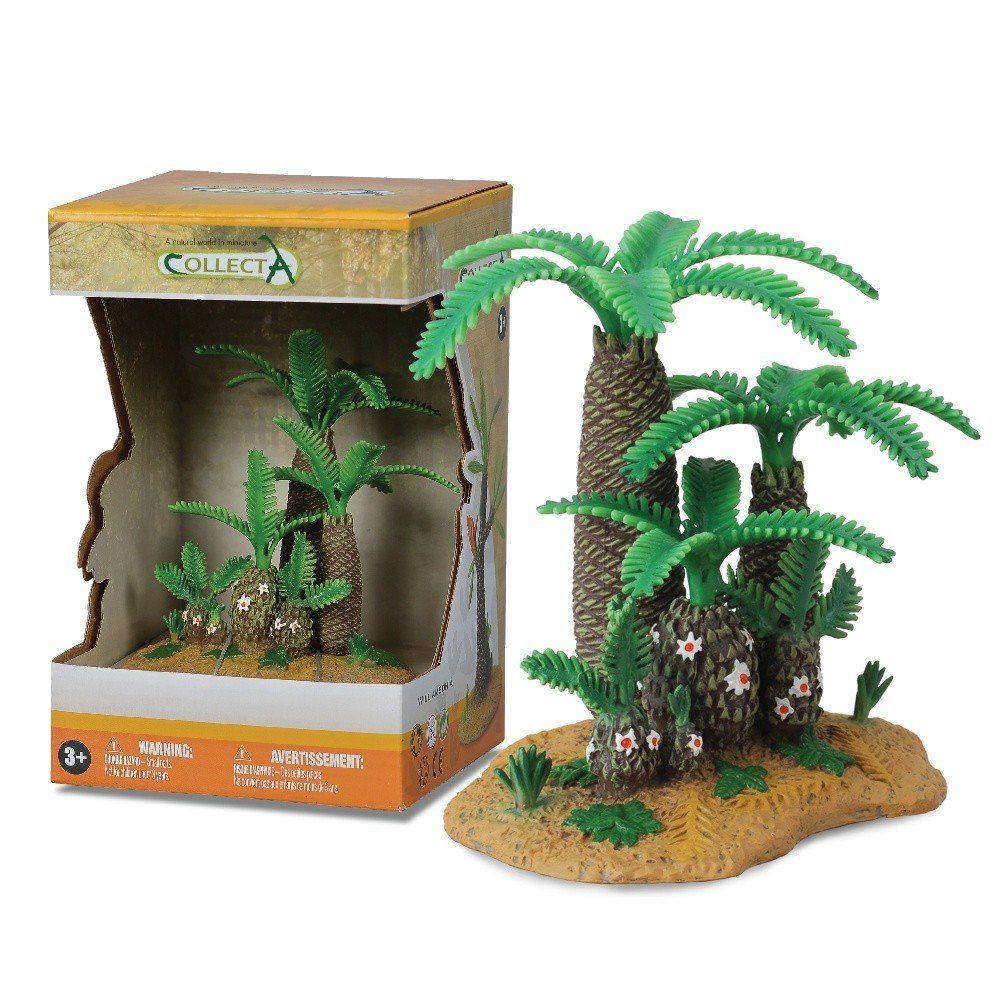 Collecta Monathesia Und Cycadeoidae