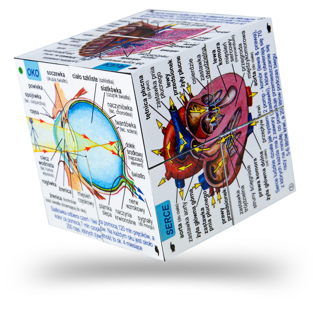 Polish Human Body Systems and Statistics Cube Book