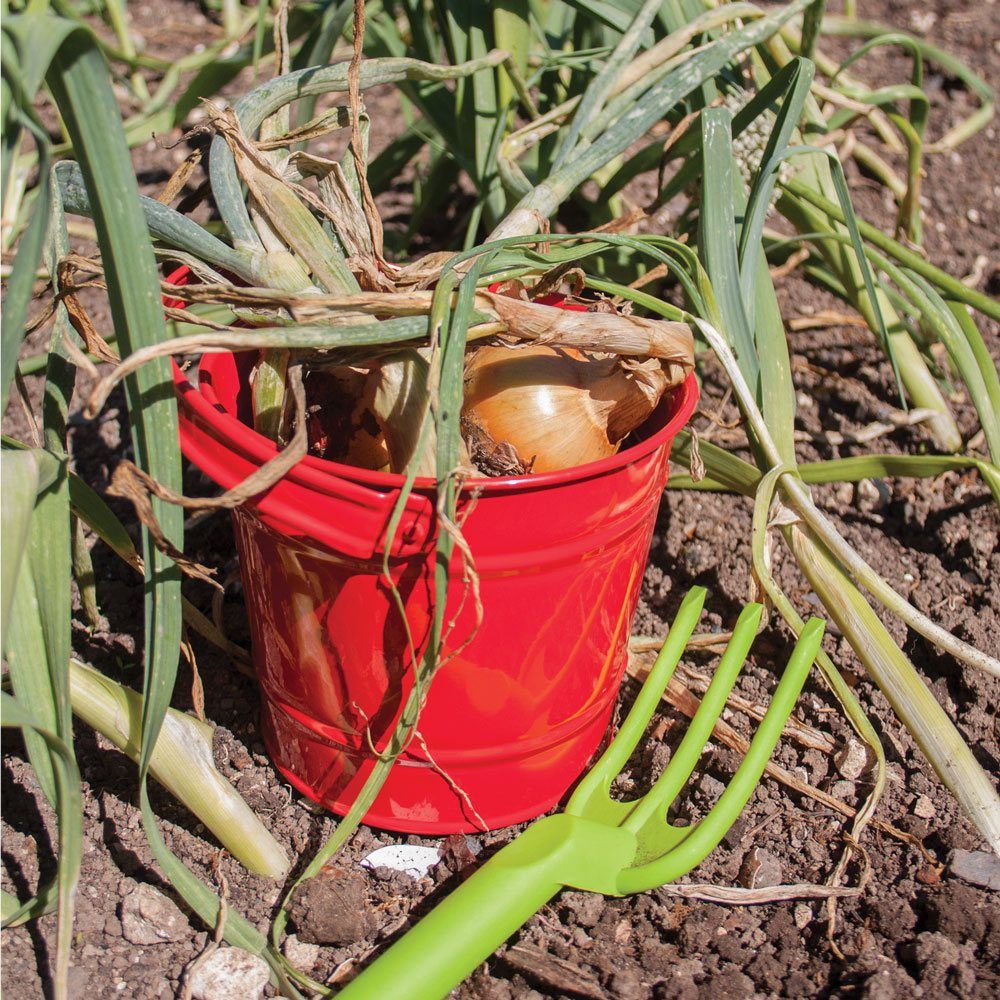 Red Bucket