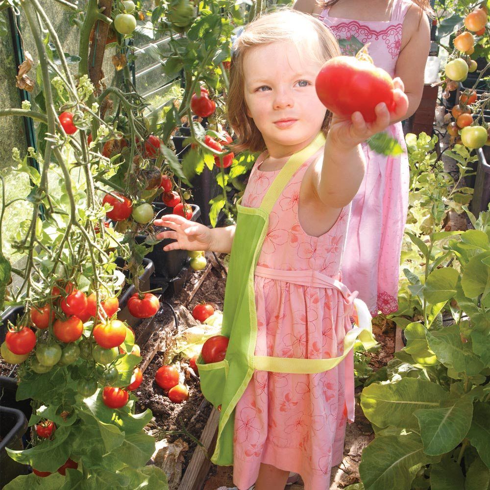 Garden Apron