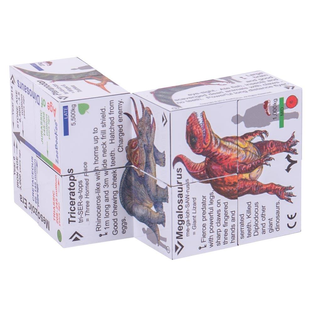 Science and History Cube Book Pack - Dinosaurs and Planets Cubes