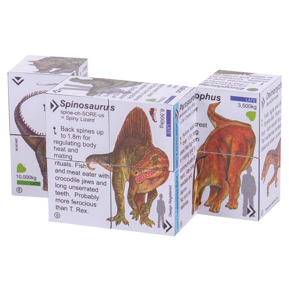 Science and History Cube Book Pack - Dinosaurs and Planets Cubes