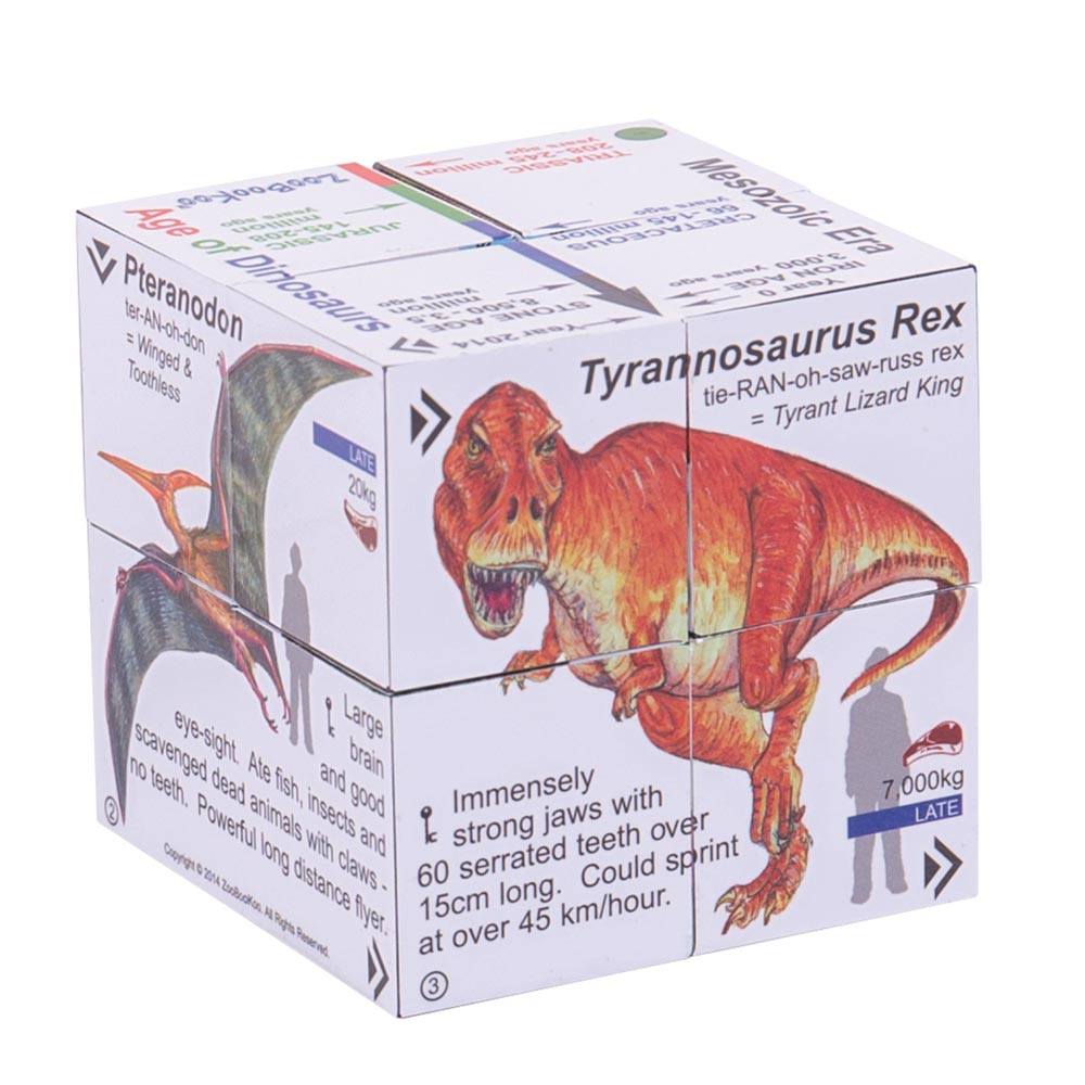Science and History Cube Book Pack - Dinosaurs and Planets Cubes