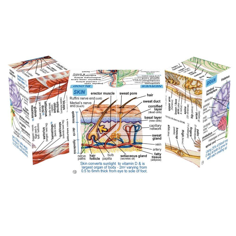 Science Cube Book Pack - Human Body and Planets Cubes