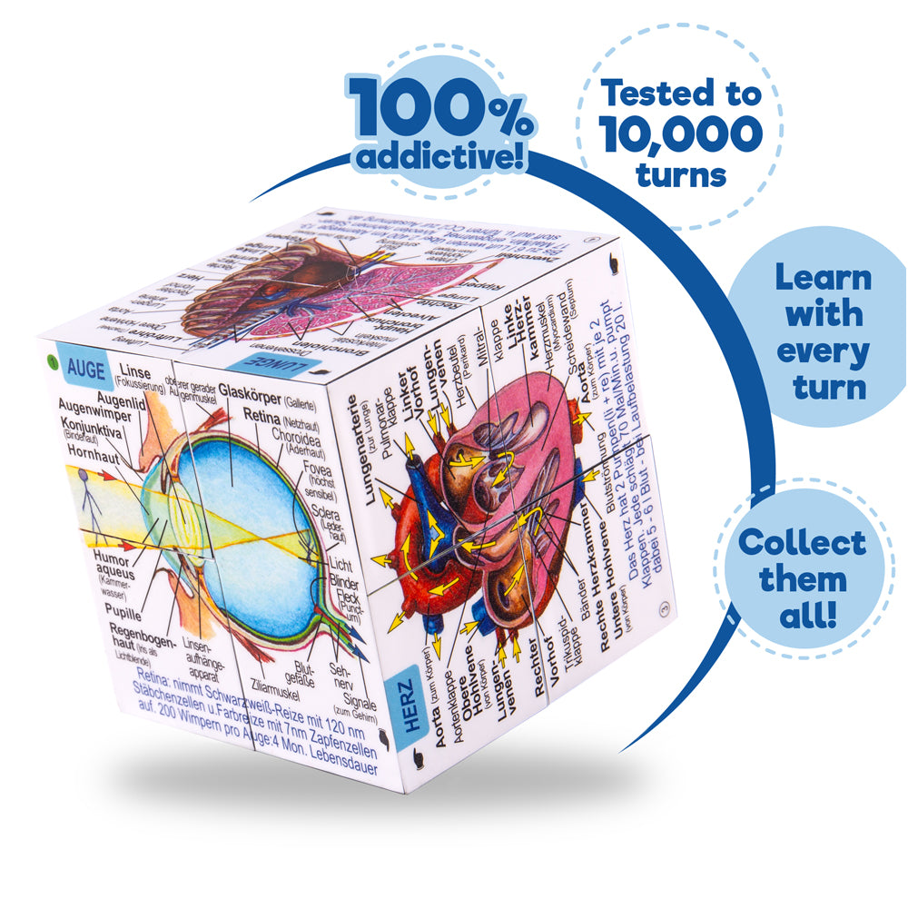 German Human Body Systems and Statistics Cube Book