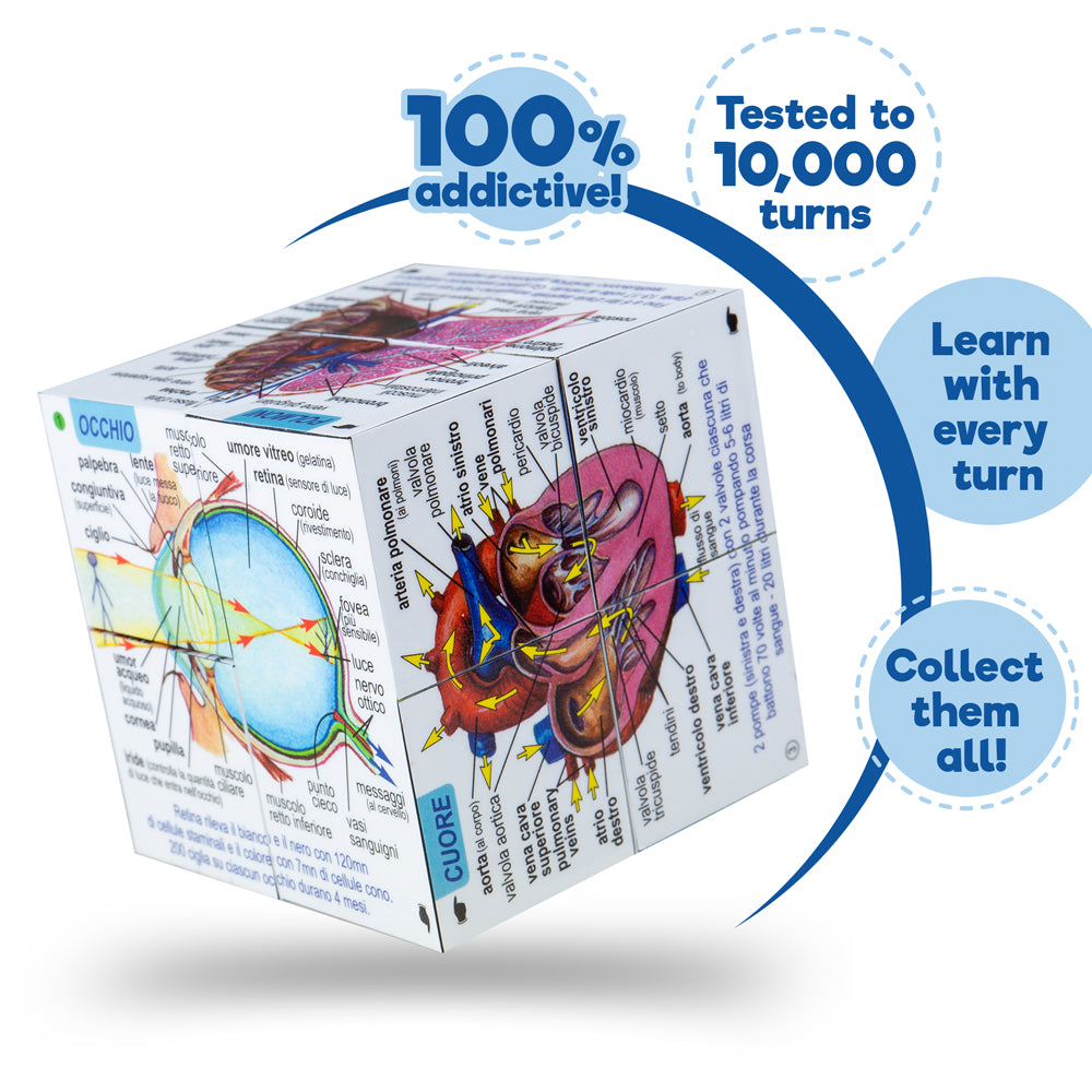 Human Body Cube Book - Italian