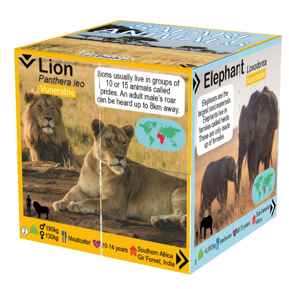 Safari Animals Cube Book